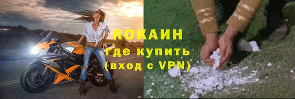твердый Арсеньев