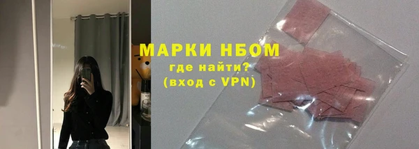 твердый Арсеньев