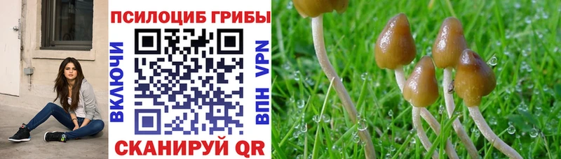 Галлюциногенные грибы GOLDEN TEACHER  Ливны 